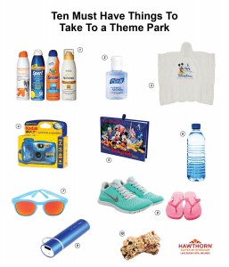 10 Things you MUST take to the theme parks