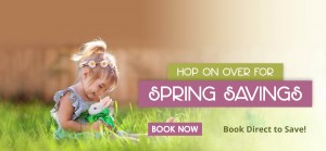 Spring Savings - Book Now