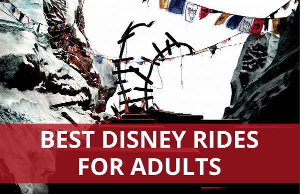 Best Disney rides for Adults