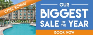 Cyber Monday - Our Biggest sale of the year - Book Now