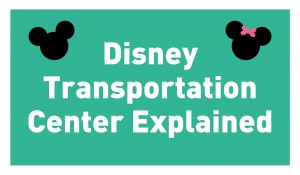 Disney Transportation Center Explained