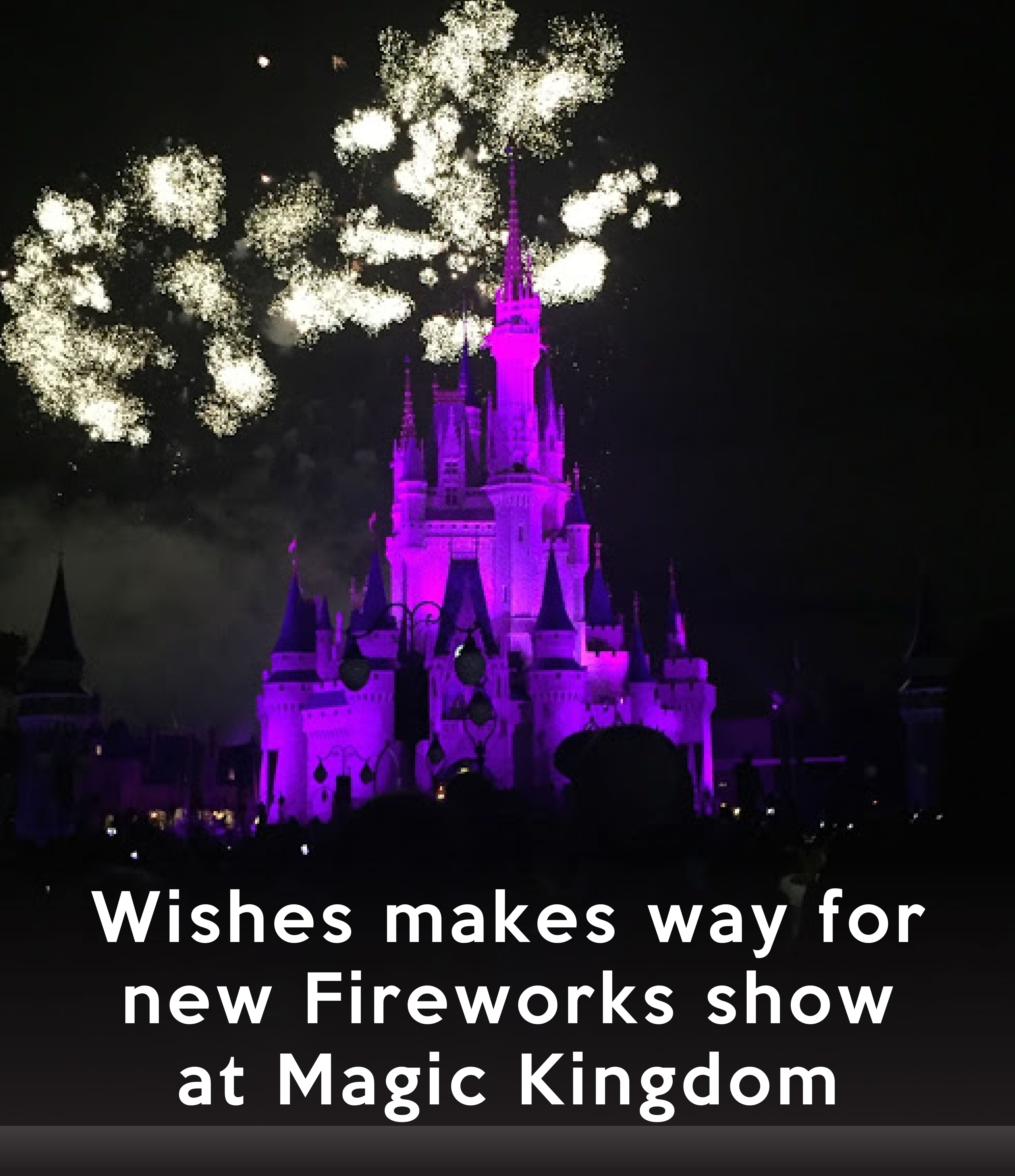 Magic Kingdom -Fireworks Show