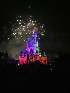 Wishes Cinderella - Fireworks show at Magic Kingdom