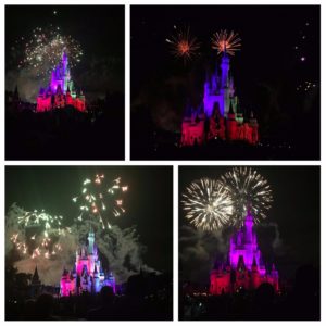 Help Us Welcome Happily Ever After at Disney